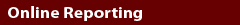 online reporting