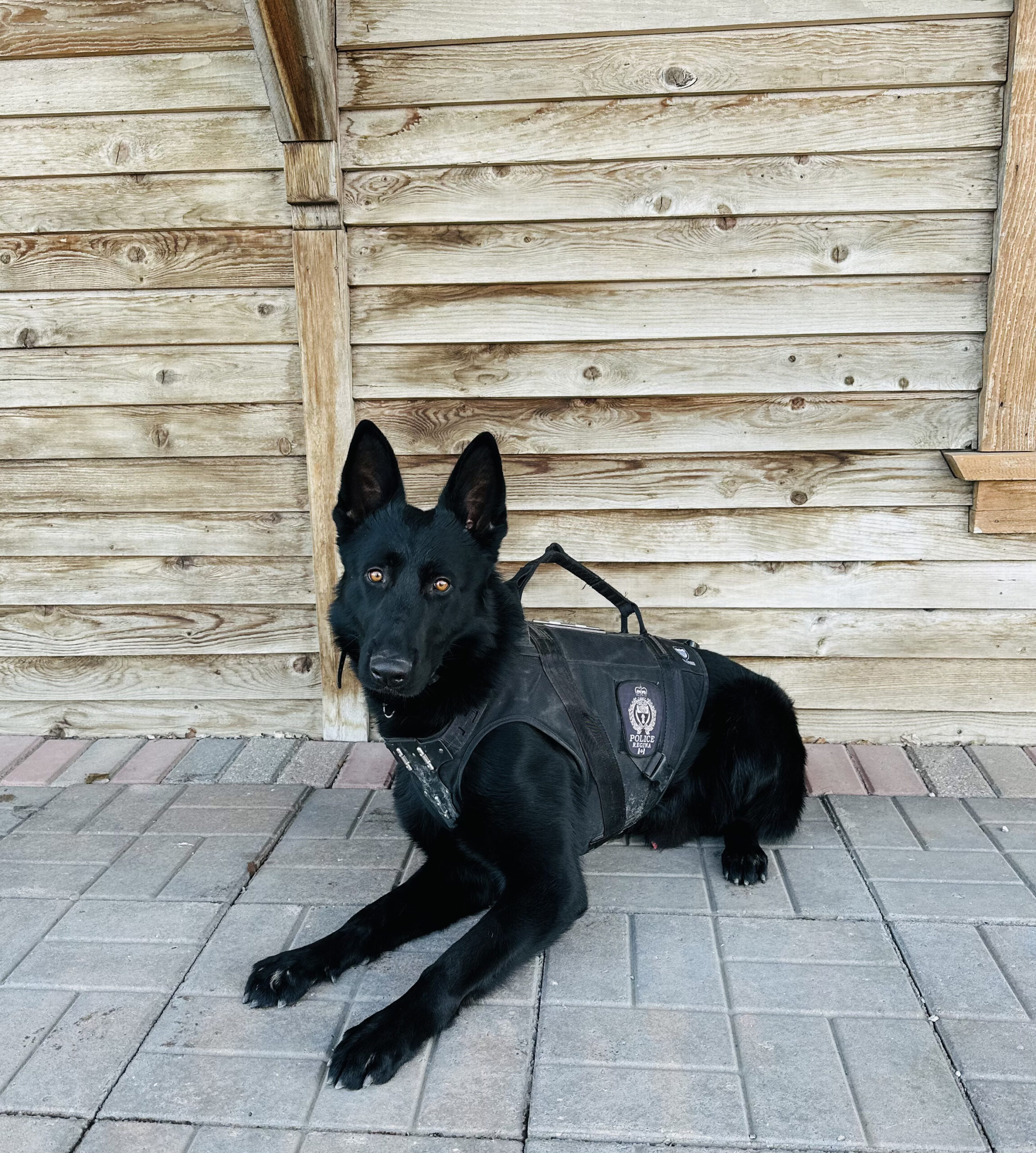 PSD Cash