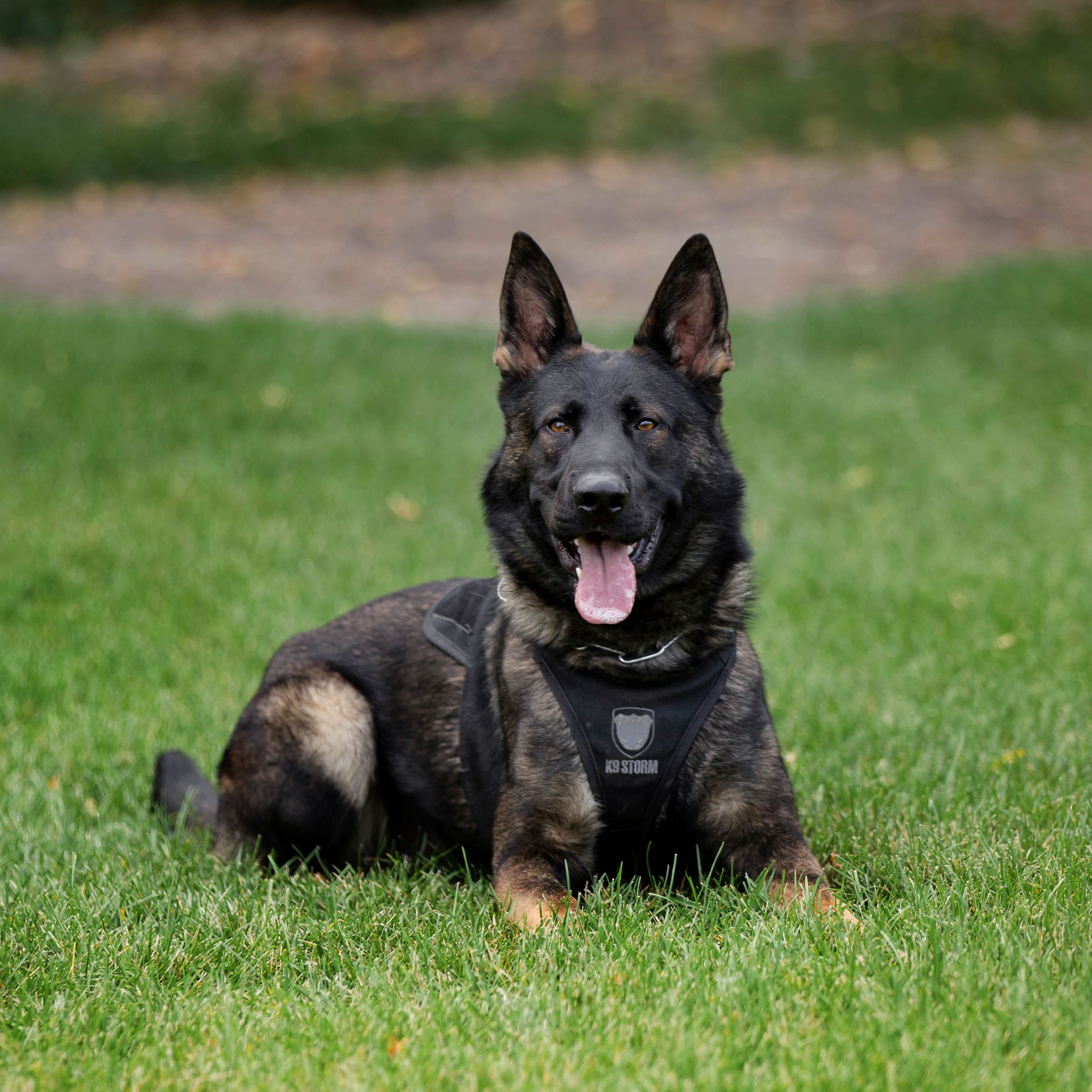 PSD Buster